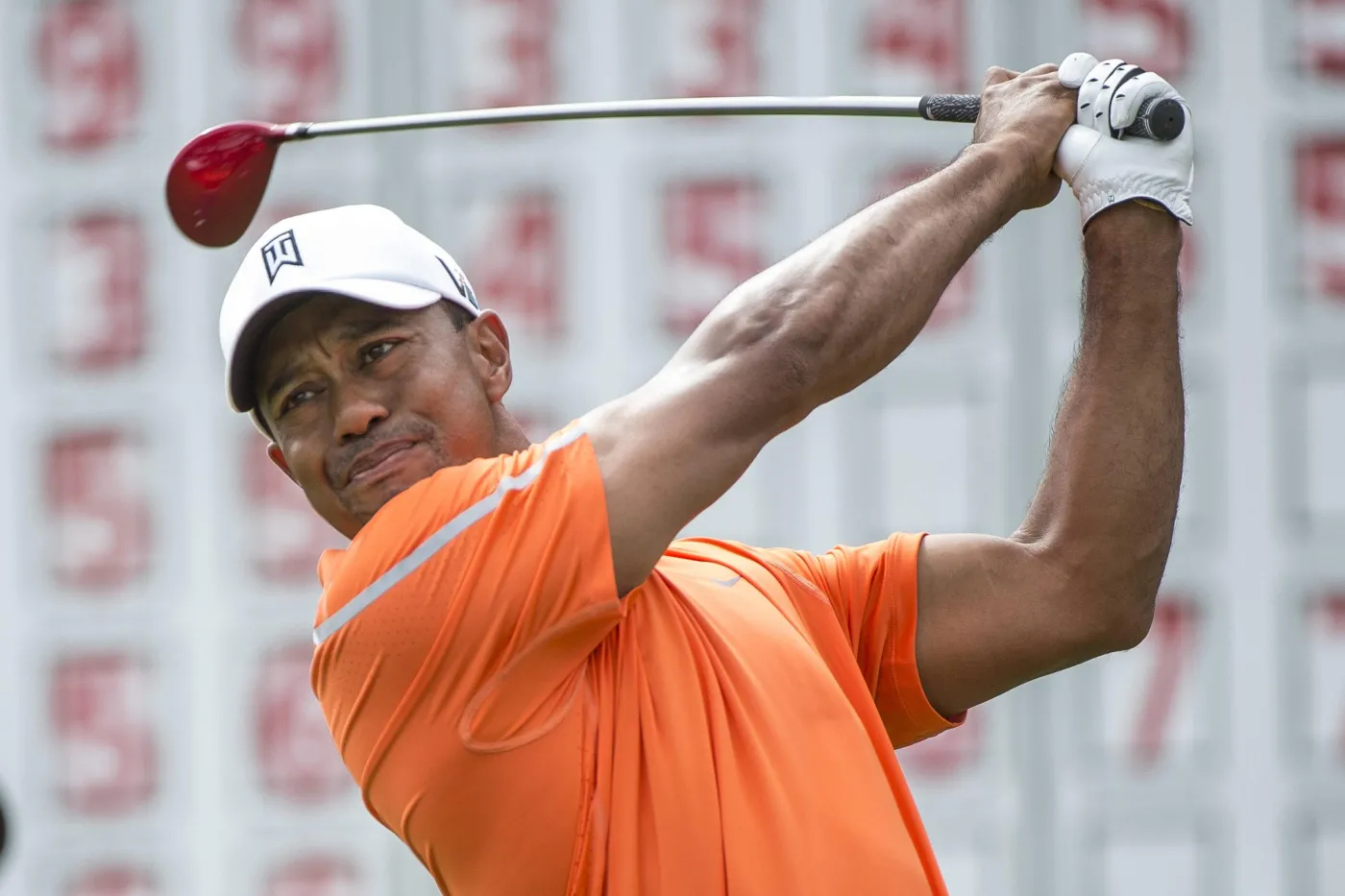 1362292-tiger-woods.jpg
