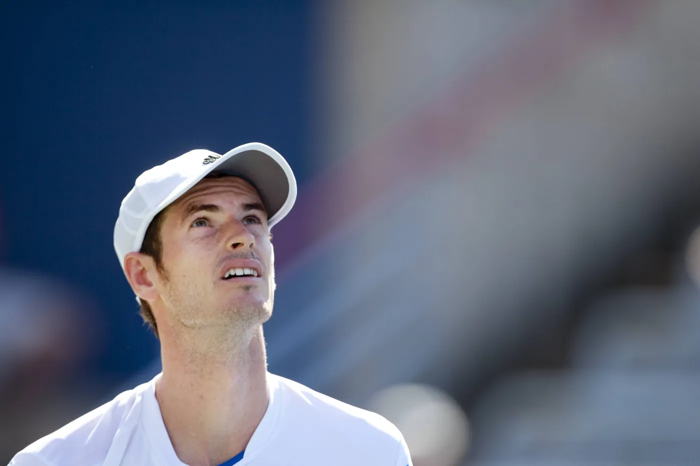 1457537-andy-murray.jpg