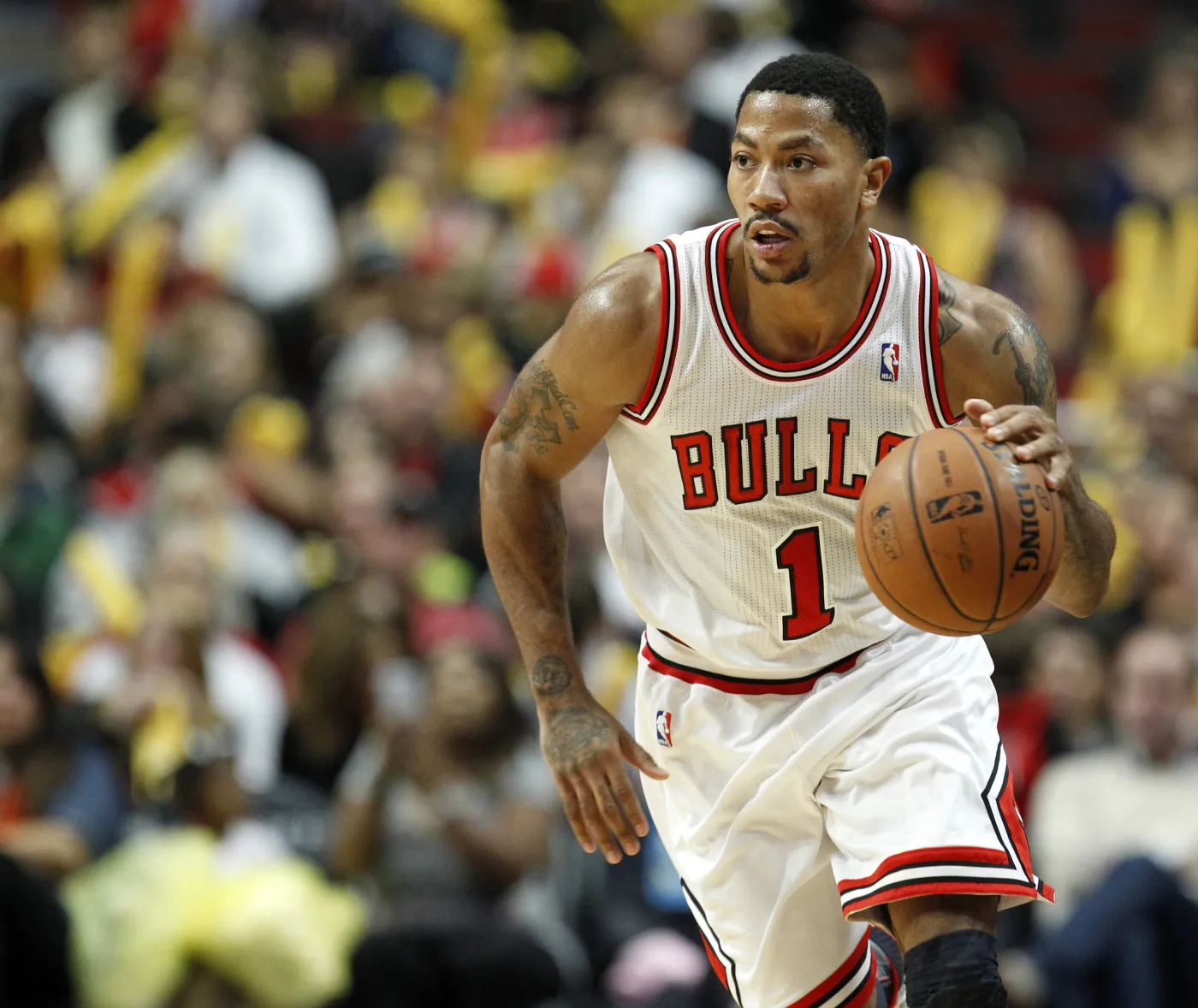 1643339-derrick-rose.jpg