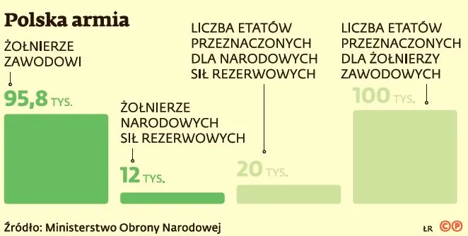 2194489-polska-armia.jpg