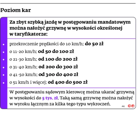 Przepisy drogowe są surowe? Nie dla notorycznych piratów