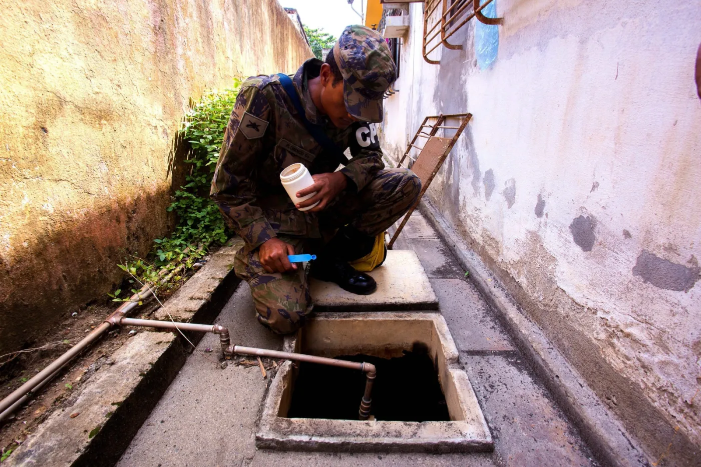 WHO alarmuje: Wirus Zika stanowi globalne zagrożenie dla ludzkości