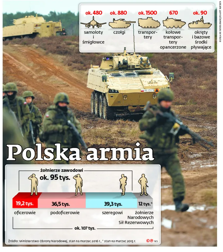 2508240-polska-armia.jpg