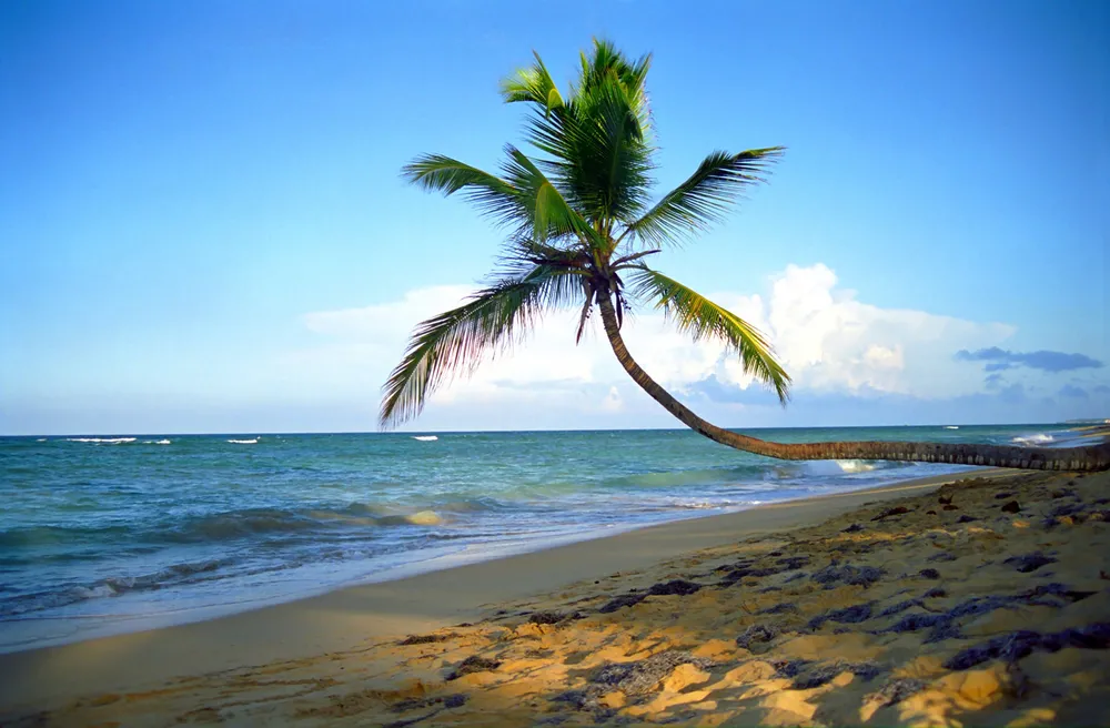 Last minute wyłącznie dla spóźnialskich i zamożnych