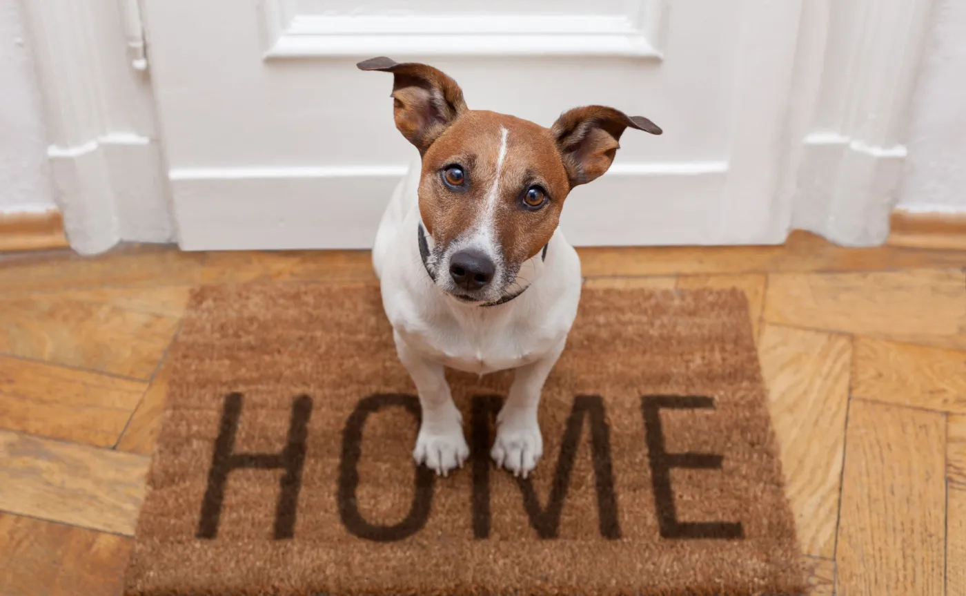 Dopłaty do najmu w Mieszkaniu plus już od nowego roku? To możliwe