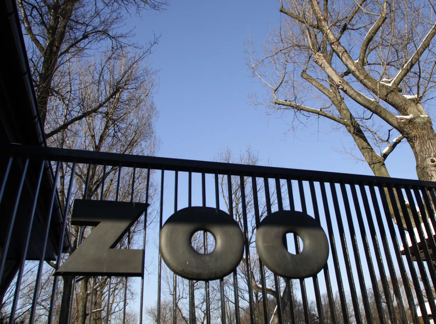 Odwiedzają zoo. Dają zwierzętom żyletki