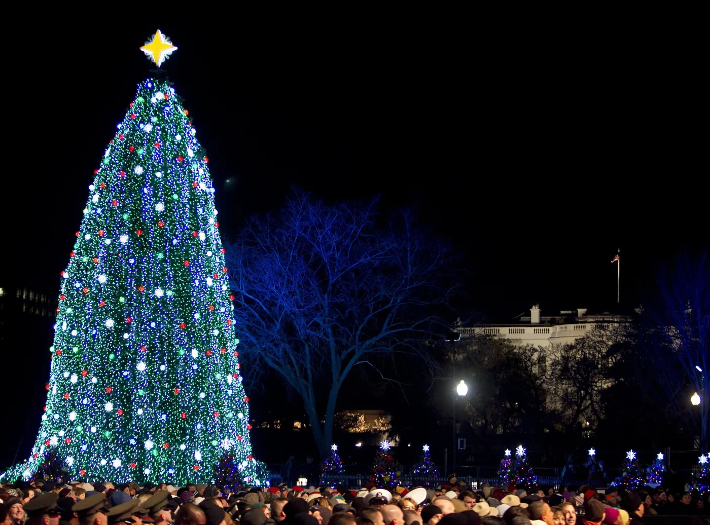 Obama zapalił choinkę przed Białym Domem