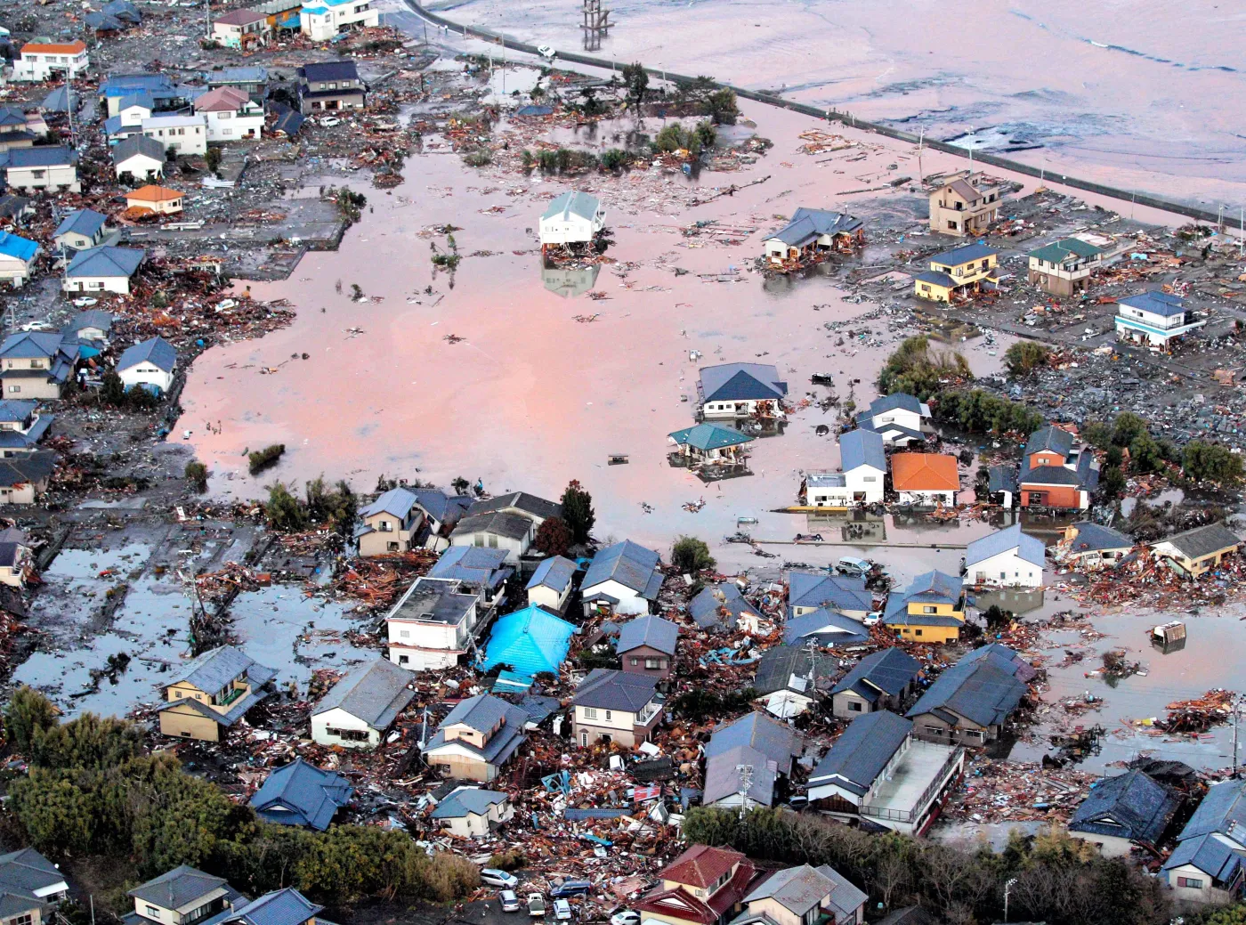 Koszmar! Setki ciał na japońskiej plaży