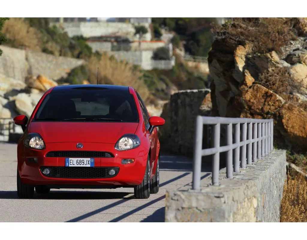 3067383-fiat-punto.jpg