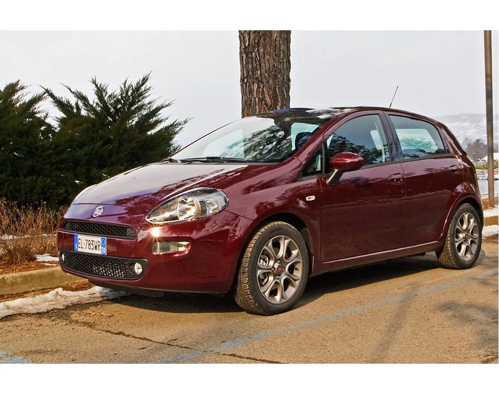 3090576-fiat-punto.jpg