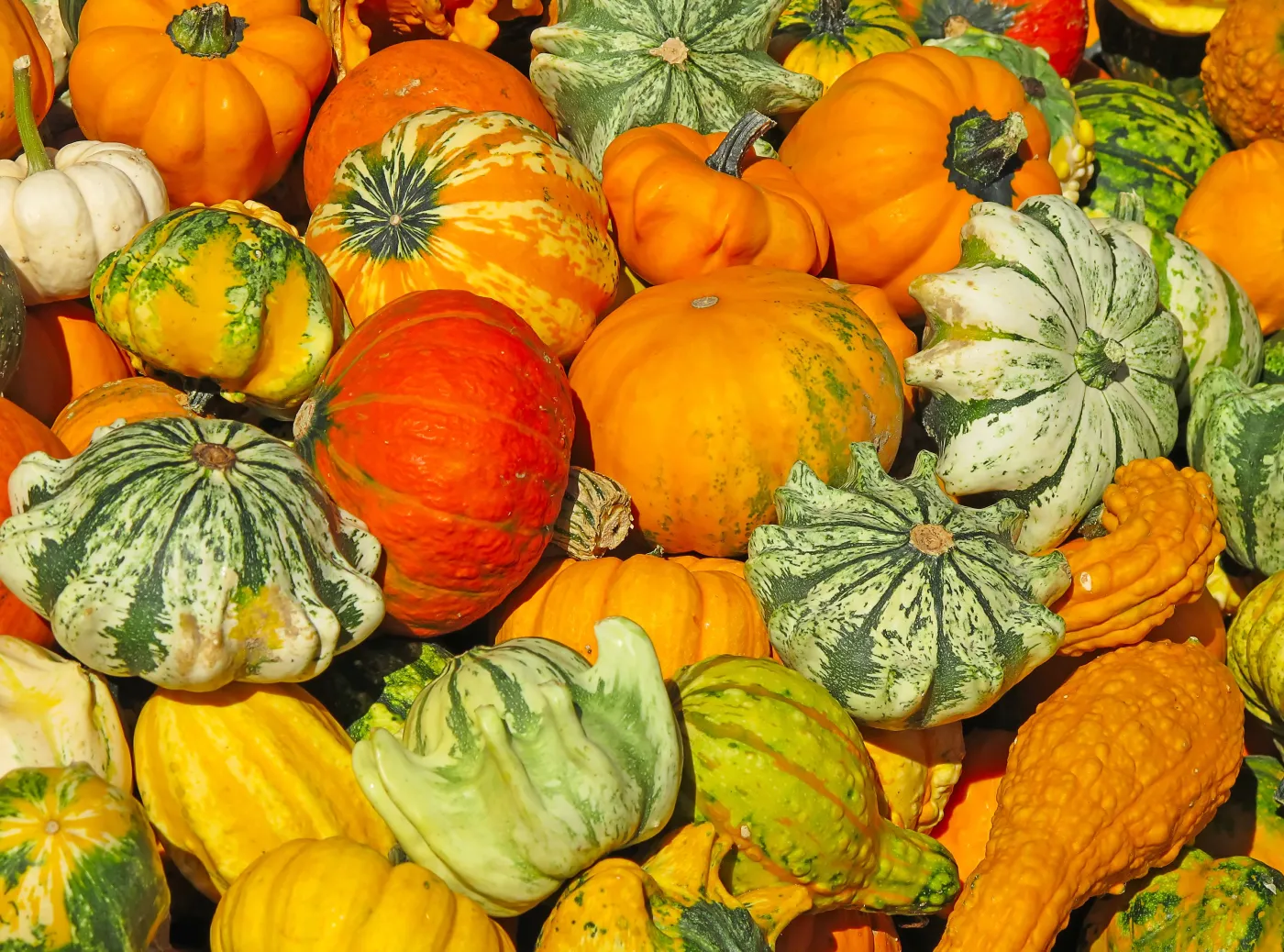 Dynia na Wielkanoc? To świetny pomysł!