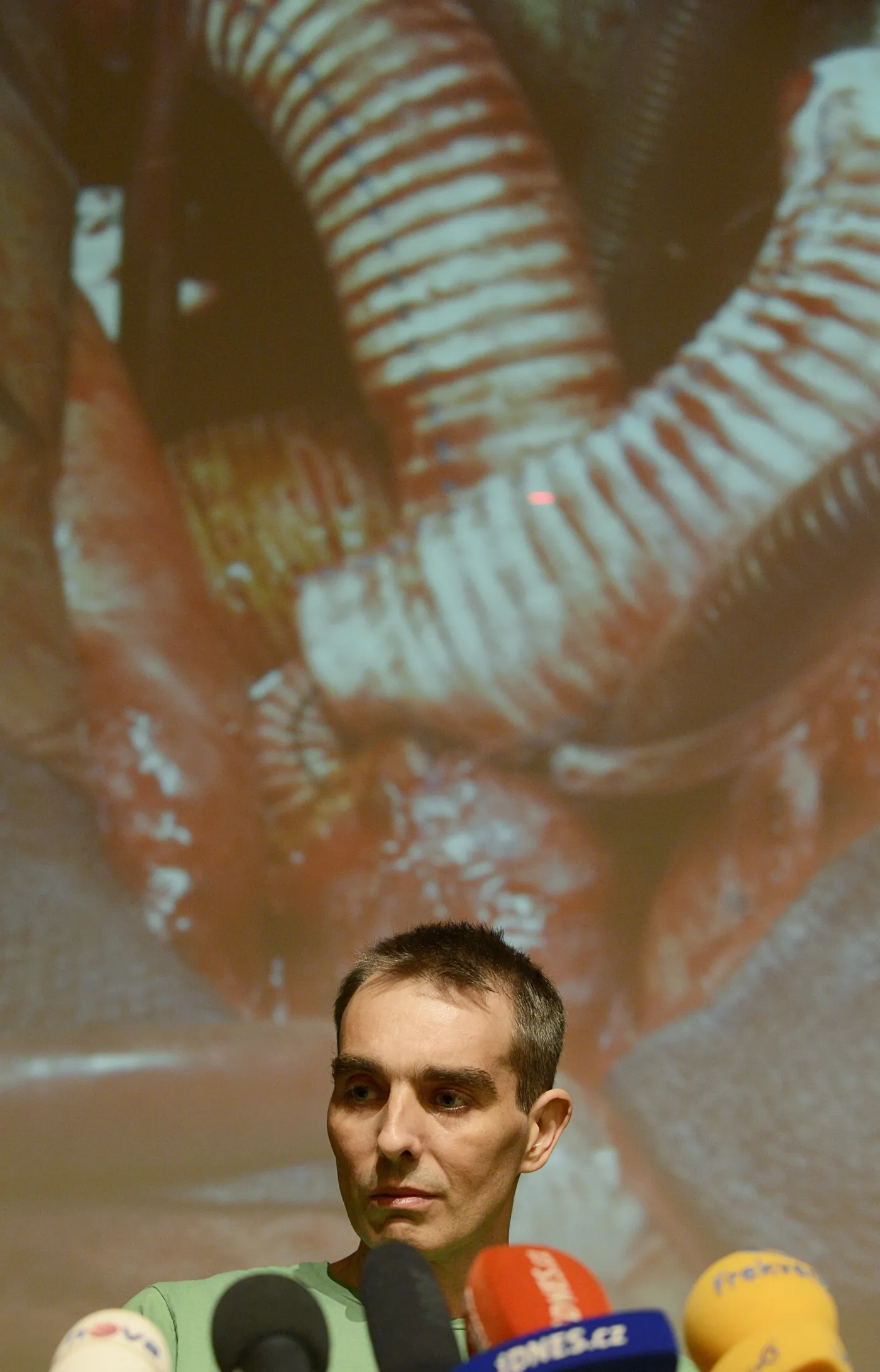 3964234-jakub-halik.jpg