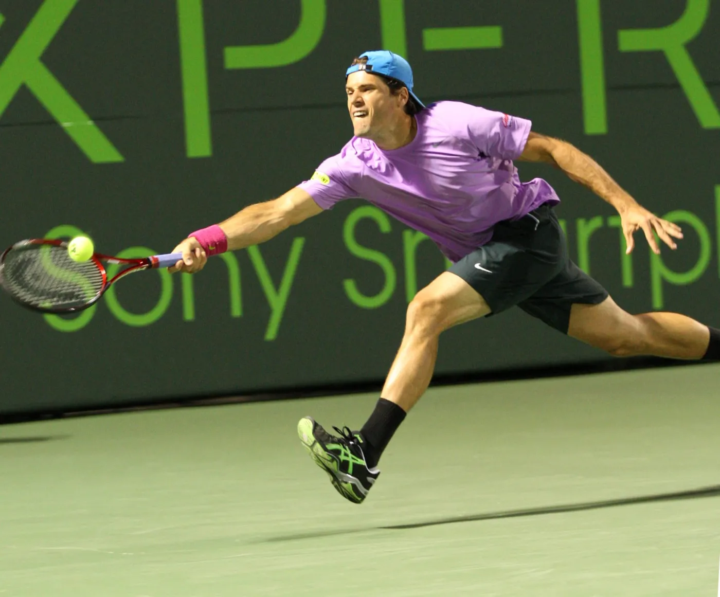 Tommy Haas
