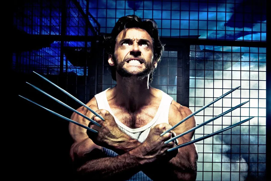 Wolverine