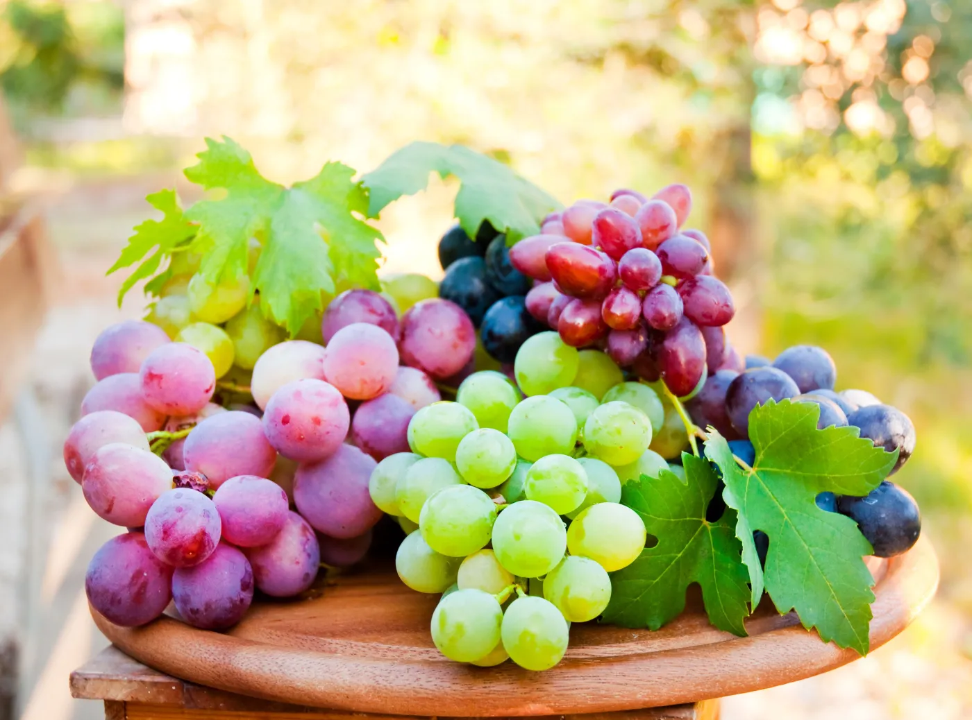 5450837-winogrona.jpg