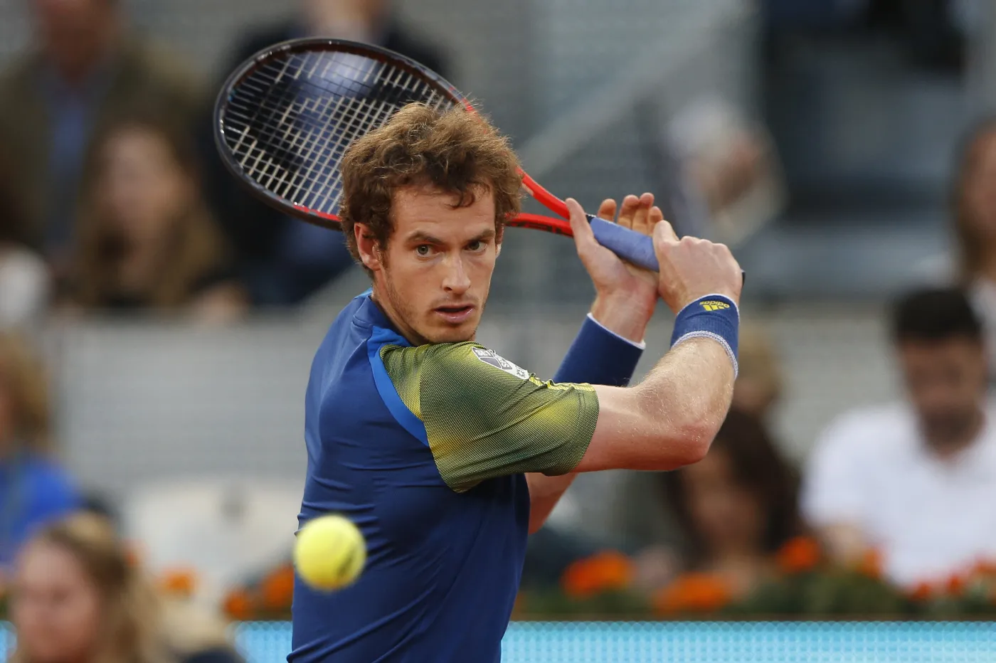 Andy Murray
