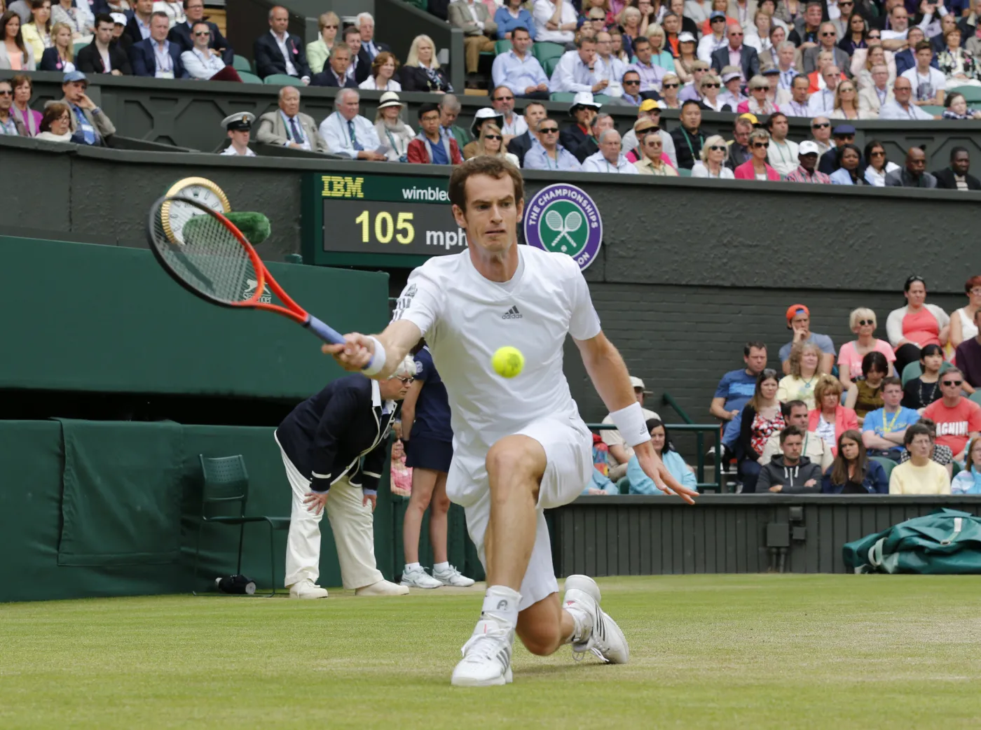 Andy Murray