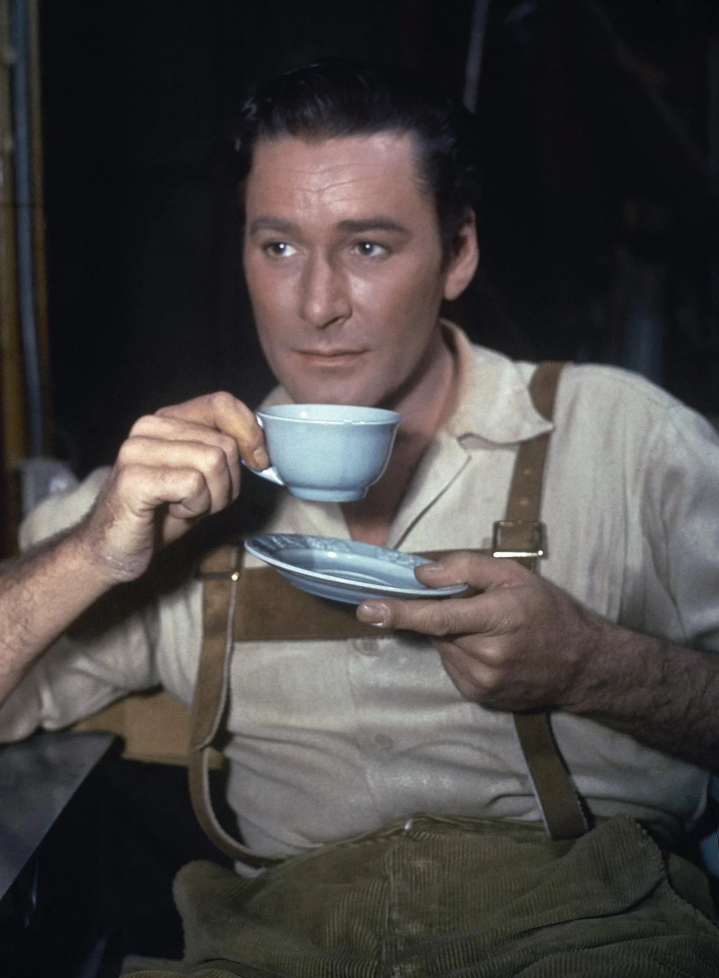 5199271-errol-flynn.jpg