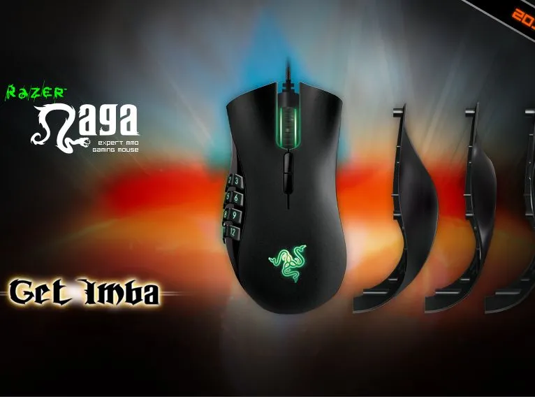 4765808-razer-naga.jpg