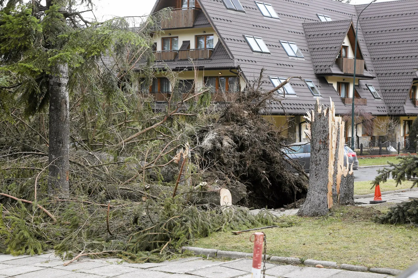 5771890-zniszczone-drzewa-w-dolinie-koscieliskiej.jpg