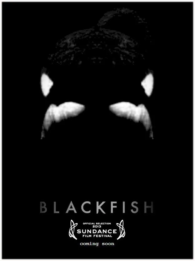 5698966-blackfish.jpg