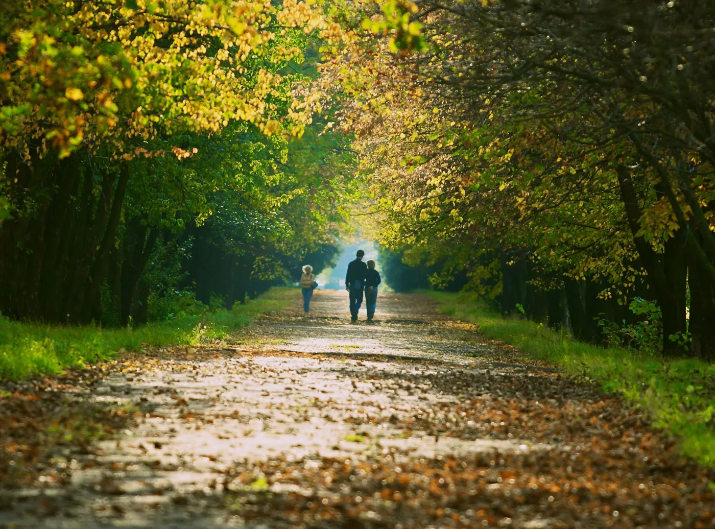 Koniec Ciechocinka? Uzdrowiska idą pod młotek