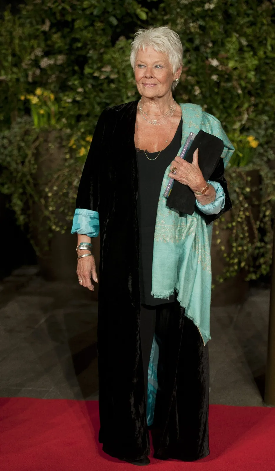 5947489-judi-dench.jpg