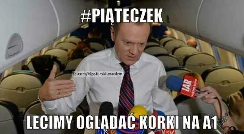 Korwin-Mikke kontra Rafalala i obsesja Sikorskiego. MEMY DNIA