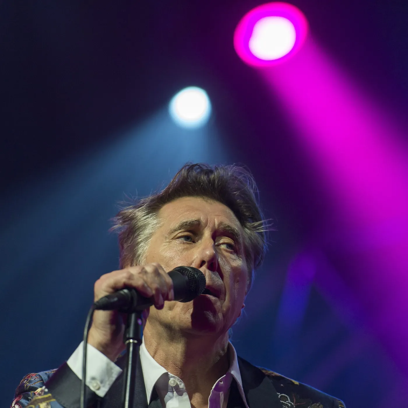 7018524-bryan-ferry.jpg