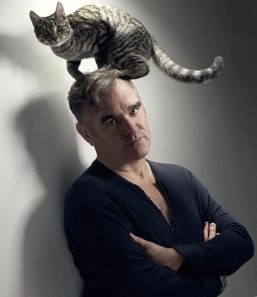 6915559-morrissey.jpg