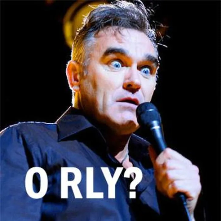 7096543-morrissey.jpg