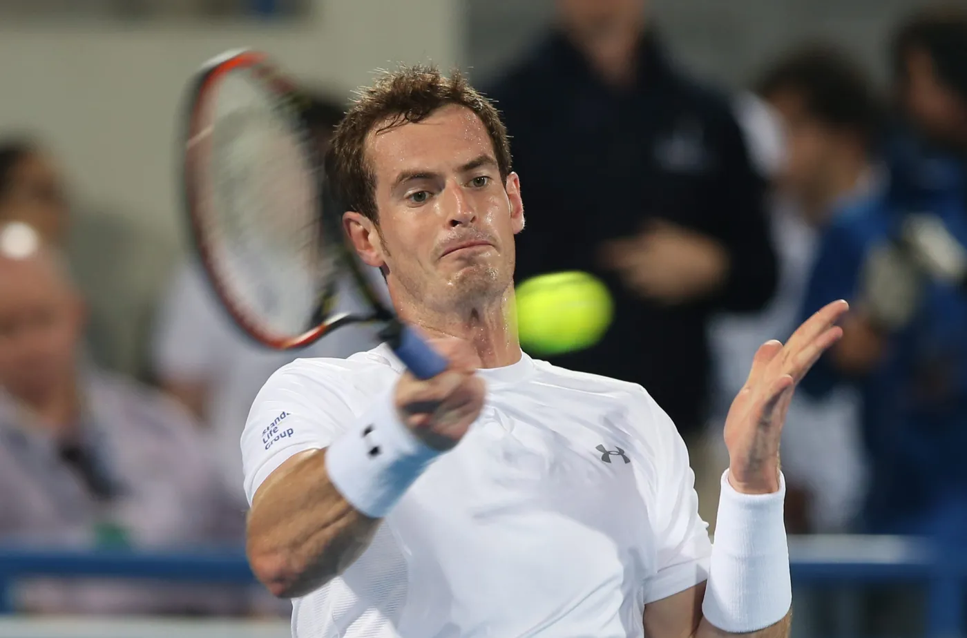 7257882-andy-murray.jpg