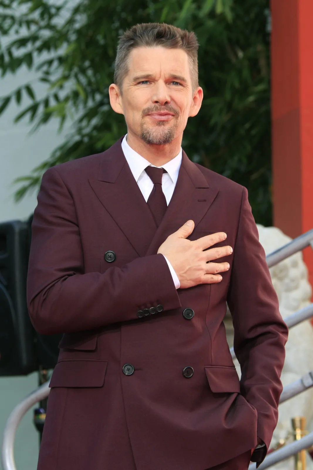 7278489-ethan-hawke.jpg