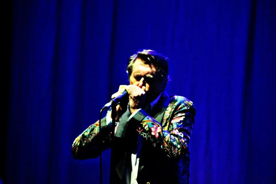 6849458-bryan-ferry.jpg