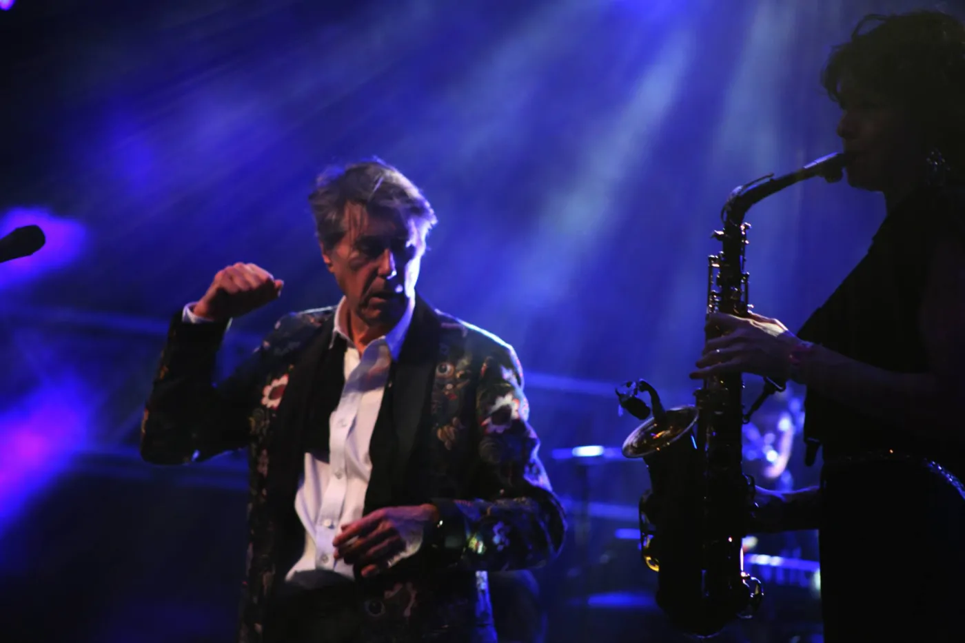 6849592-bryan-ferry.jpg
