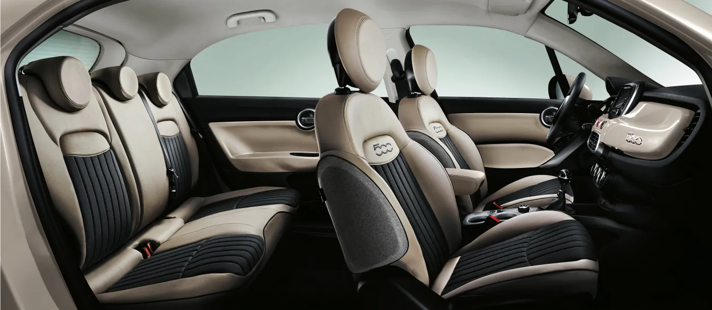 6887867-fiat-500x.jpg
