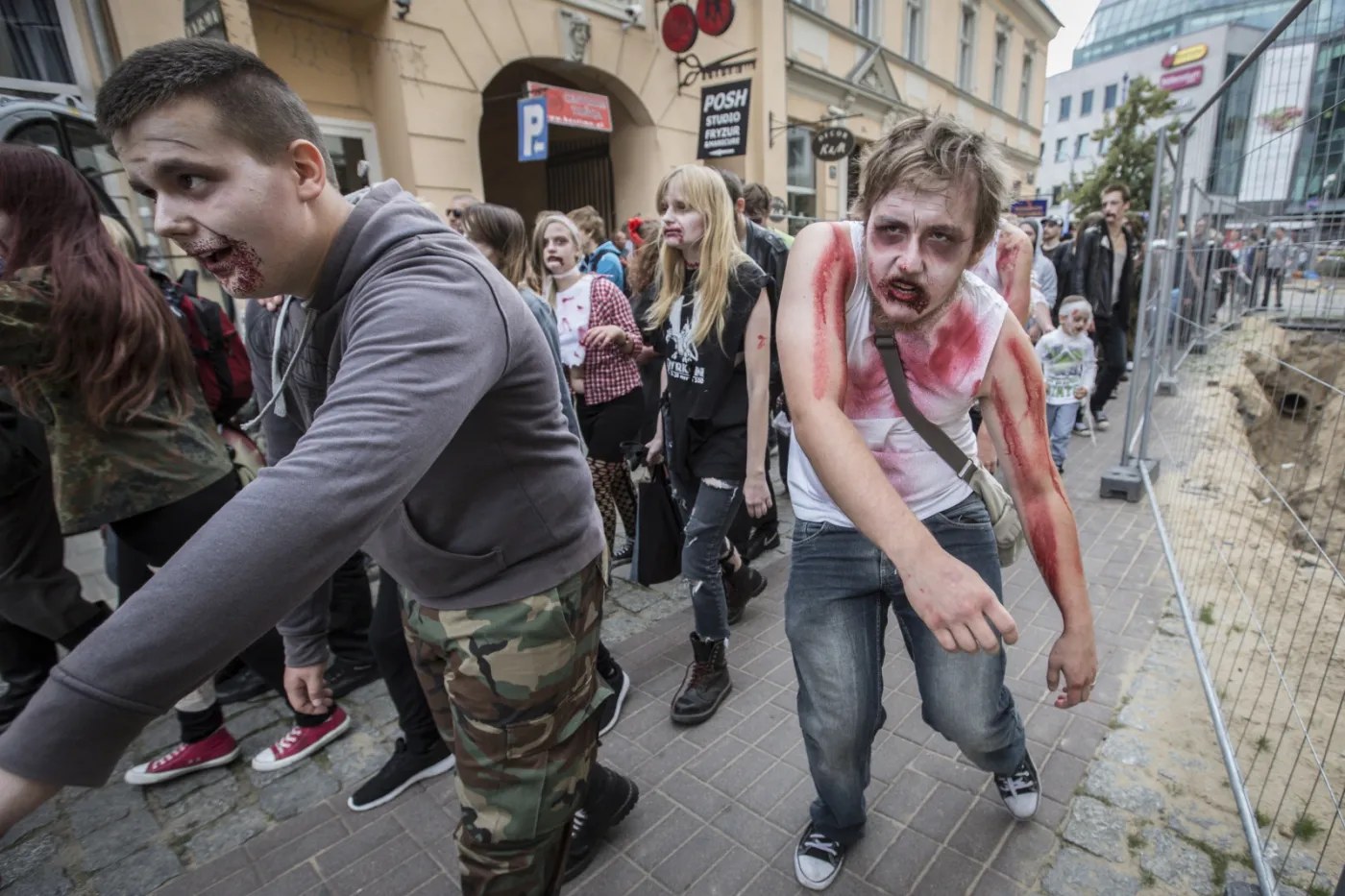8173344-zombiewalk.jpg