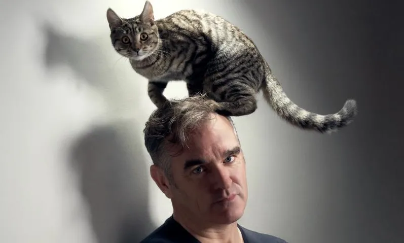 Morrissey