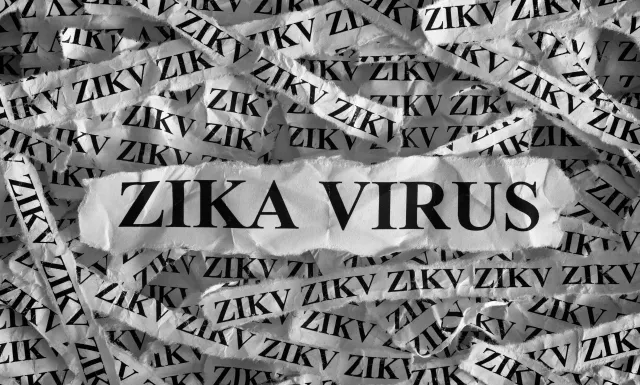 Jak ustrzec kobiety w ciąży przed wirusem Zika? Katalonia ma plan