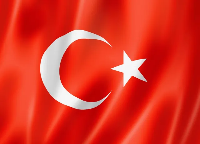 Turcja: dzieci w areszcie za obrazę prezydenta