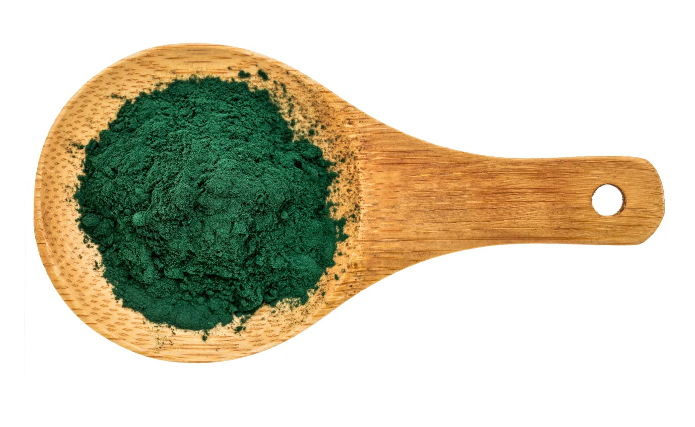 Chlorella