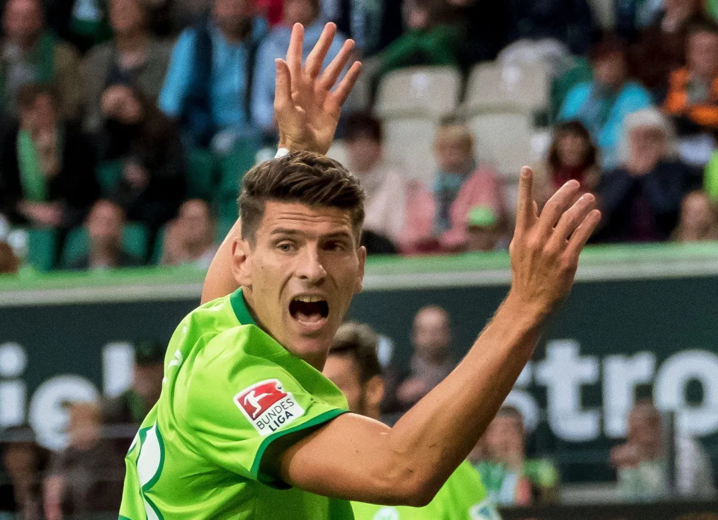 Mario Gomez