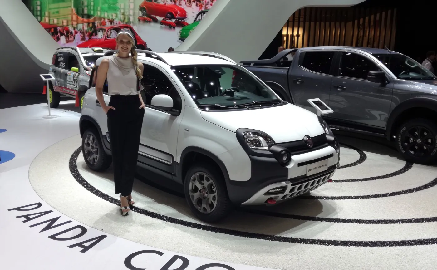 9948192-fiat-panda.jpg