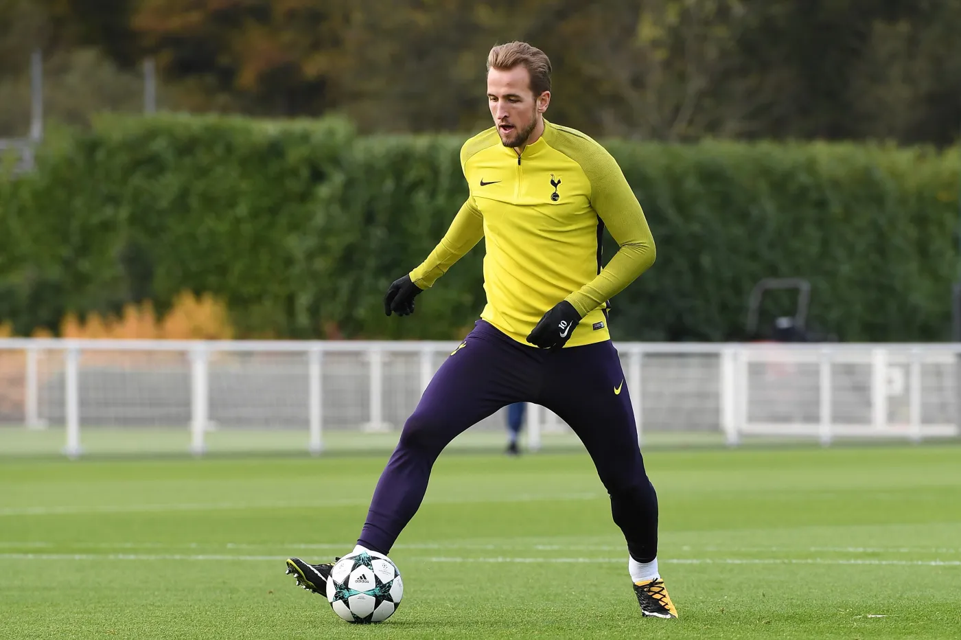 Harry Kane