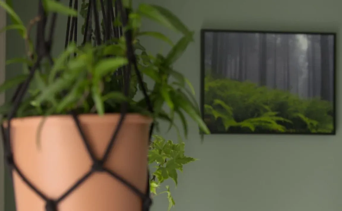 Odpicowane mieszkanie z inwazją zieleni. Jak modnie ozdobić wnętrza?