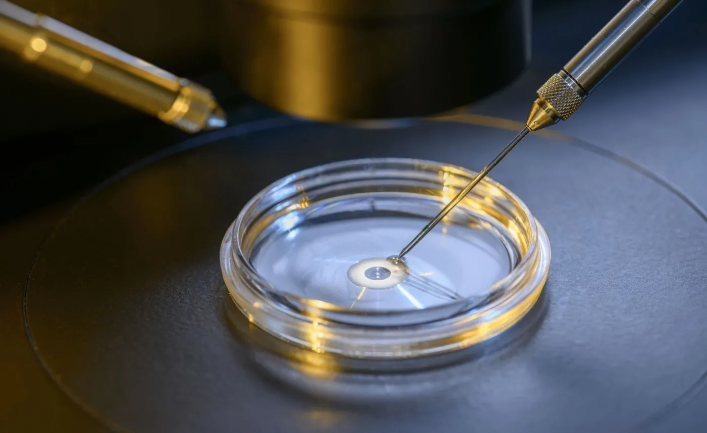 In vitro tylko dla małżeństw? Takie obostrzenia wprowadzają kraje muzułmańskie