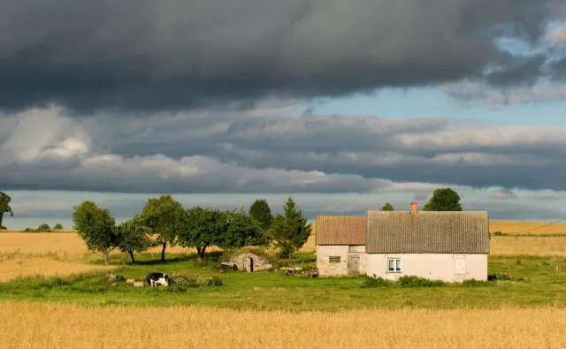 Obrót ziemią ma być nieco zliberalizowany. Kto będzie mógł ją kupić?