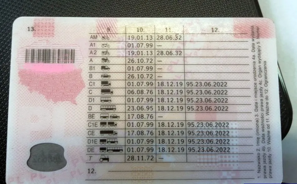 Rekordzista w sekundę stracił 16 kategorii prawa jazdy. Co poszło nie tak?