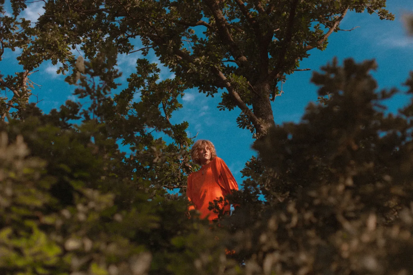 Ofelia; fot. Zuzanna Kreft