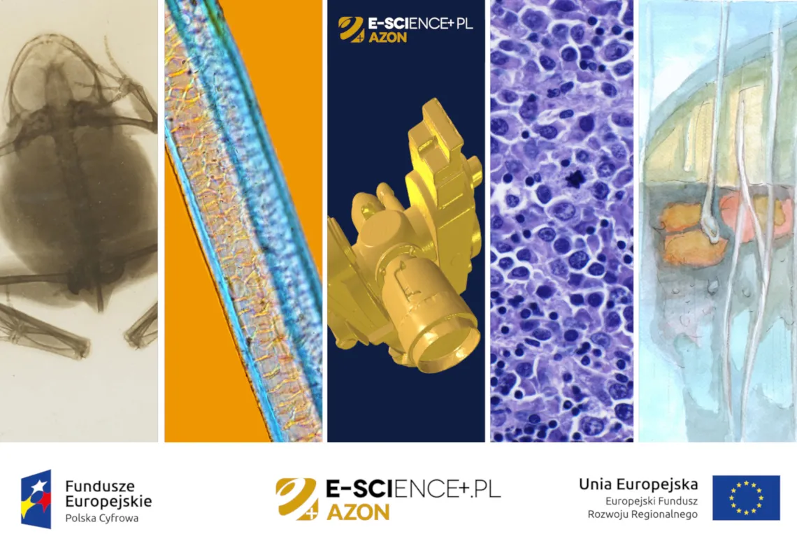 Najlepsza wiedza on-line. Konkurs AZON rozstrzygnięty